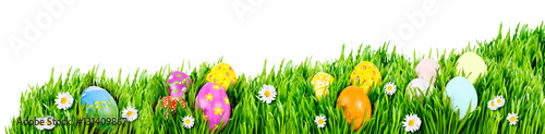 Nests of decorated Easter eggs, nestled in grass nests