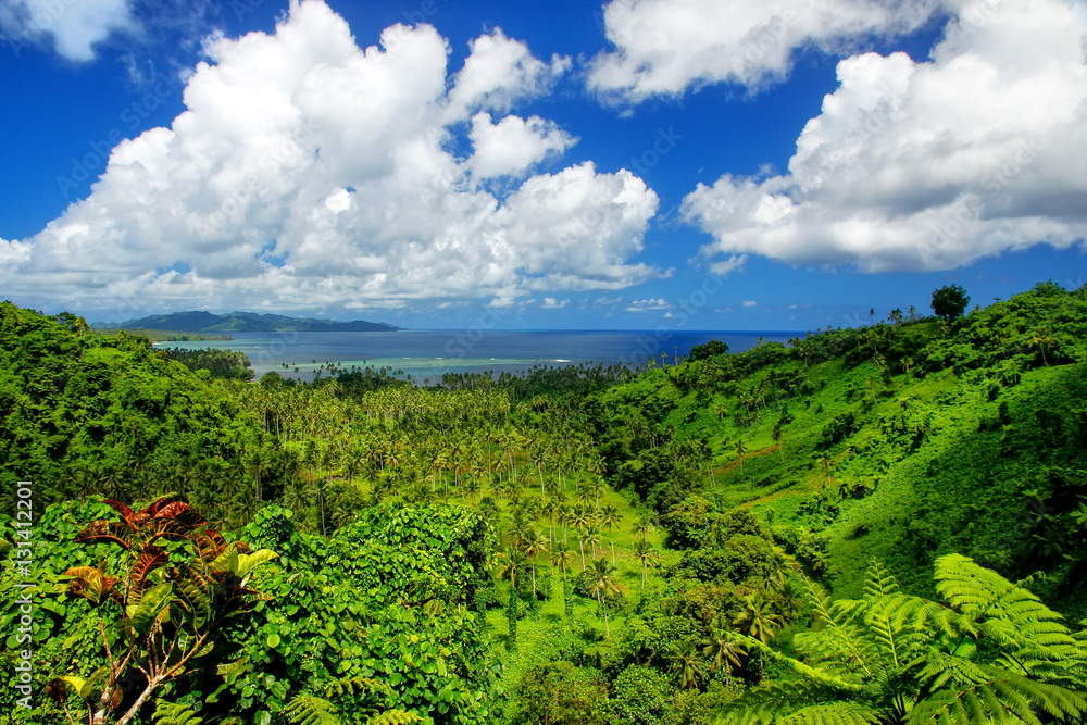 View of Bouma National Heritage Park and Somosomo strait on Tave