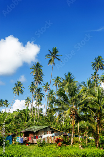 Typical house in Bouma village surrounded by palm trees on Taveu