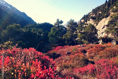 Schweizer Alpen Landschaft in den Herbst Farben