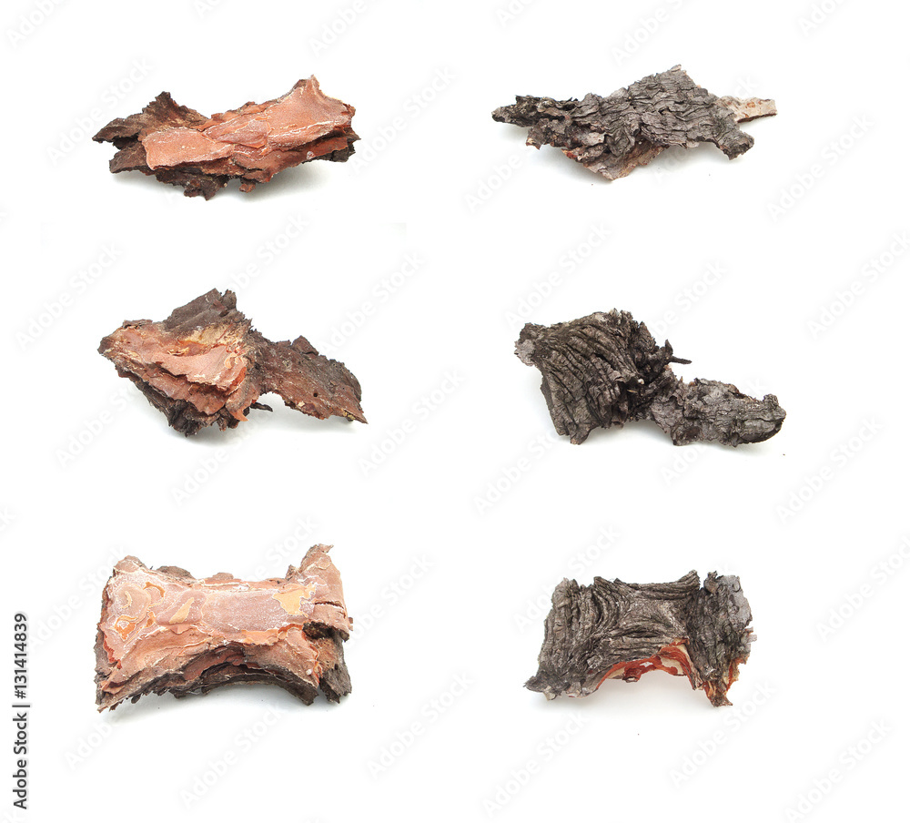 The bark of the tree isolated on white. Mock up. The bark of the juniper or fir. The bark of the tree isolated on white. Mock up. The bark of the juniper or fir.