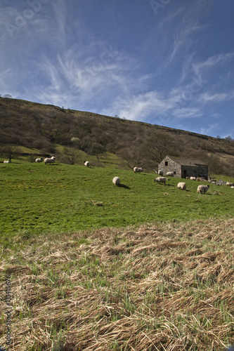 Swaledale Barn
