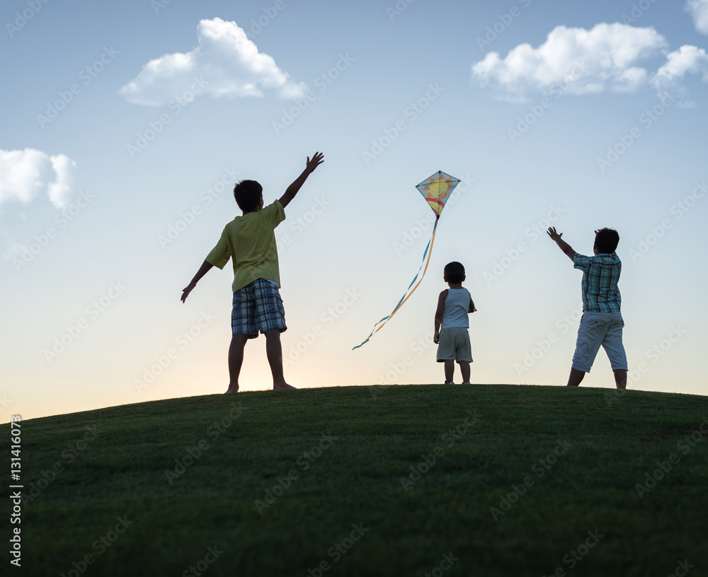 Little boy on summer vacation having fun and happy time flying k Little boy on summer vacation having fun and happy time flying k