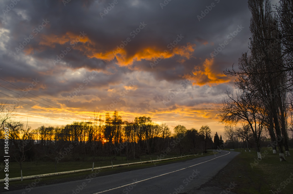 Obraz premium Landscapes of asphalt road in countryside among the silhouette of trees painted in sunset colors and covered dramatic sky with bright clouds.