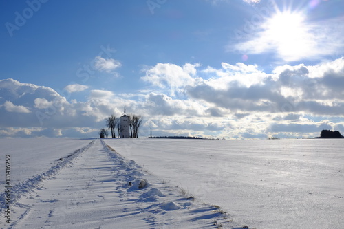 Winter Wonderland with sunshine