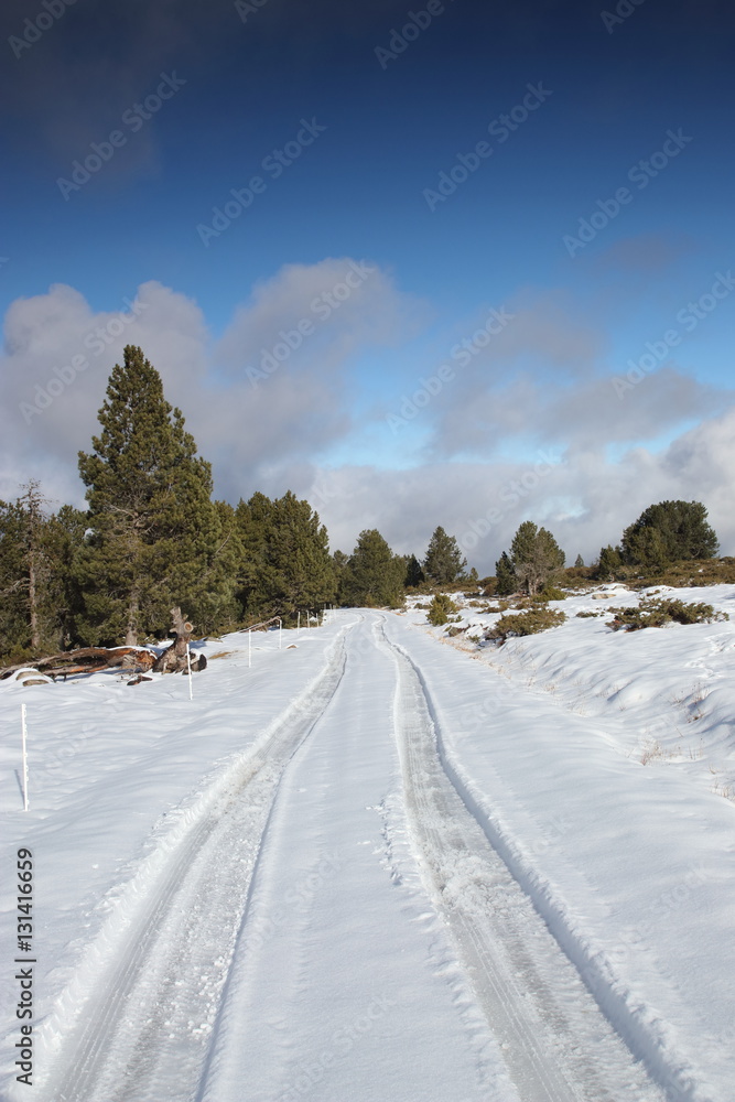 Obraz premium Chemin dans un paysage hivernal, Pyrénées