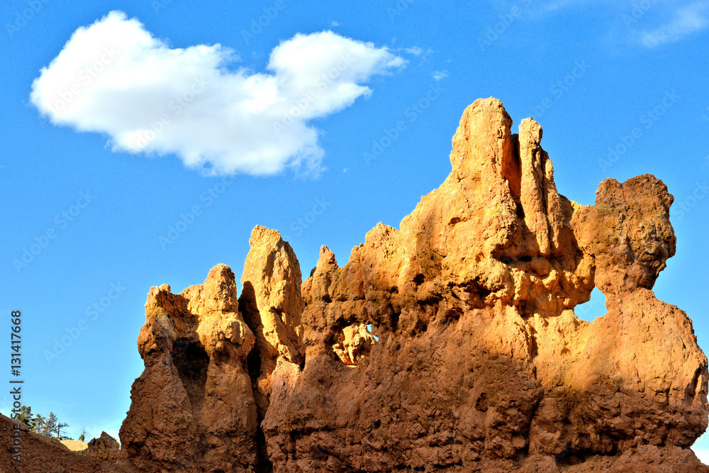 Fototapeta premium Bryce Canyon