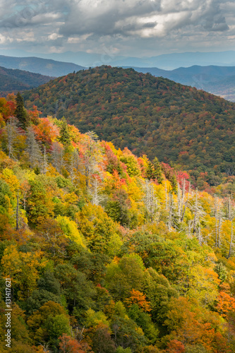 Brightly Colored Fall Leaves on a Ridge of the Appalachian Mount
