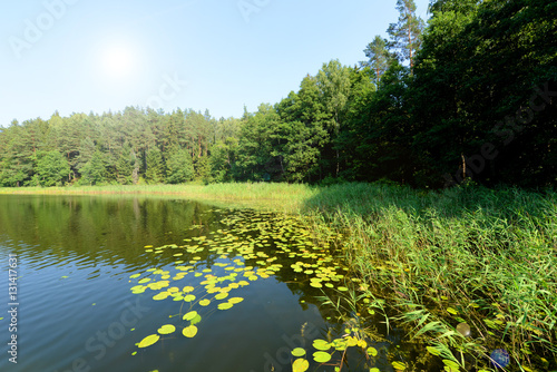 view of the lake's shore in Masuria District, Poland