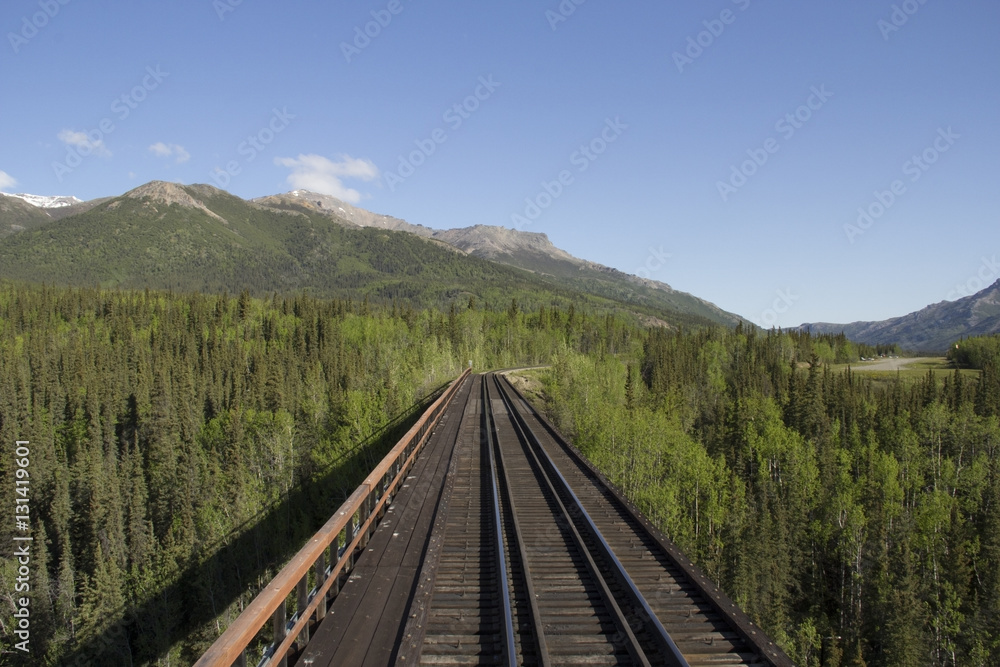 Railway bridge receding into a dense forest