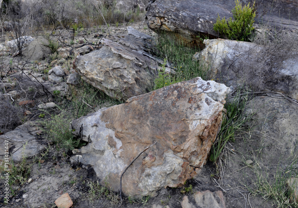 The rocks in the Beaverlac Mountains, Western Cape, South Africa The rocks in the Beaverlac Mountains, Western Cape, South Africa