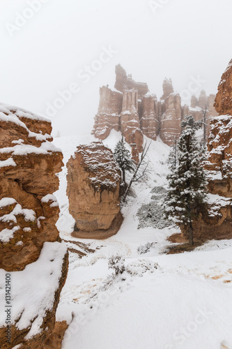 Winter Snow Falling on Bryc...