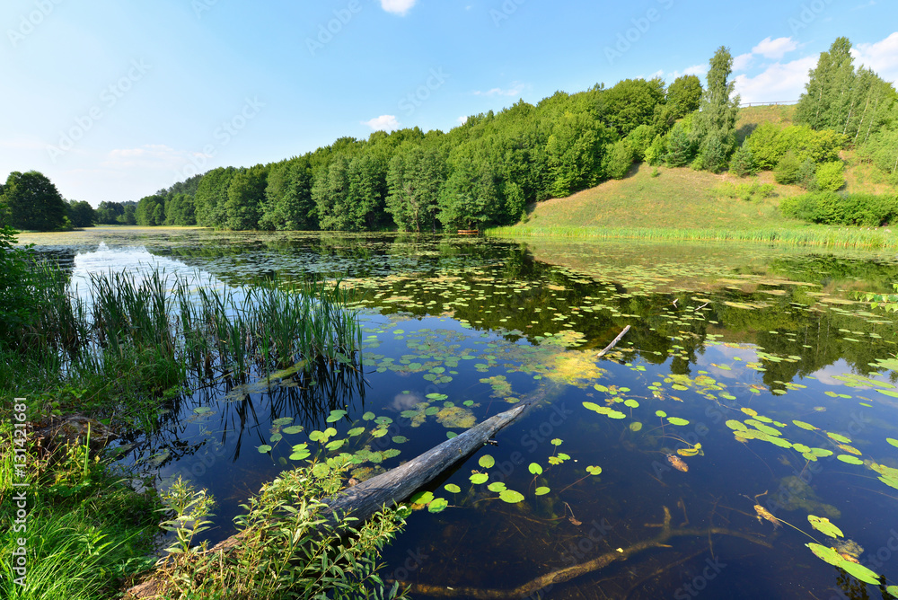 Fototapeta premium view of the lake's shore in Masuria District, Poland