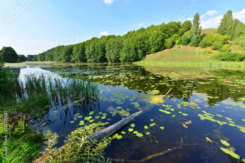 Fototapeta Naklejka Na Ścianę i Meble -  view of the lake's shore in Masuria District, Poland