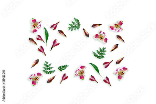 Wallpaper Mural Colorful bright flowers Alstroemeria on a white background. Torontodigital.ca