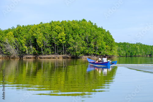 a boat traveling pass a mangrove forest
