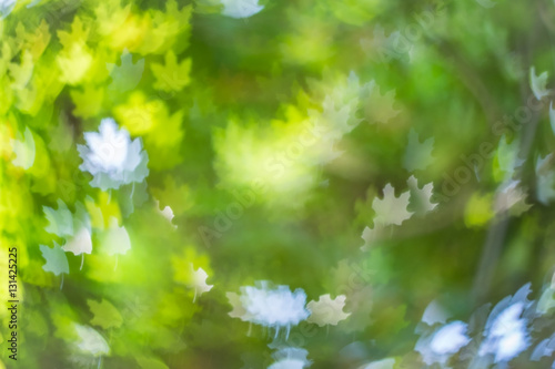 Abstract blurred Leaves shaped lights.