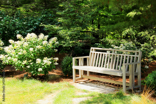 Garden bench. Wooden bench in the early summer botanical garden.