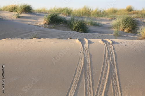 View of tire tracks in the sand on a dune
