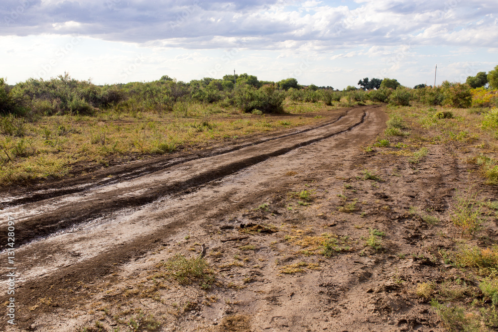 dirt road in nature