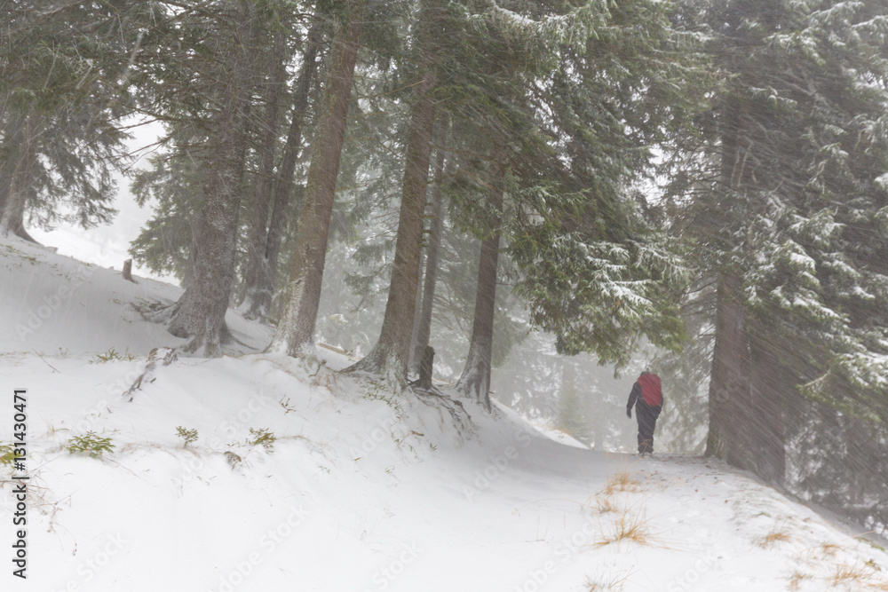 Winter scenery with heavy snow blizzard in the Alps Winter scenery with heavy snow blizzard in the Alps