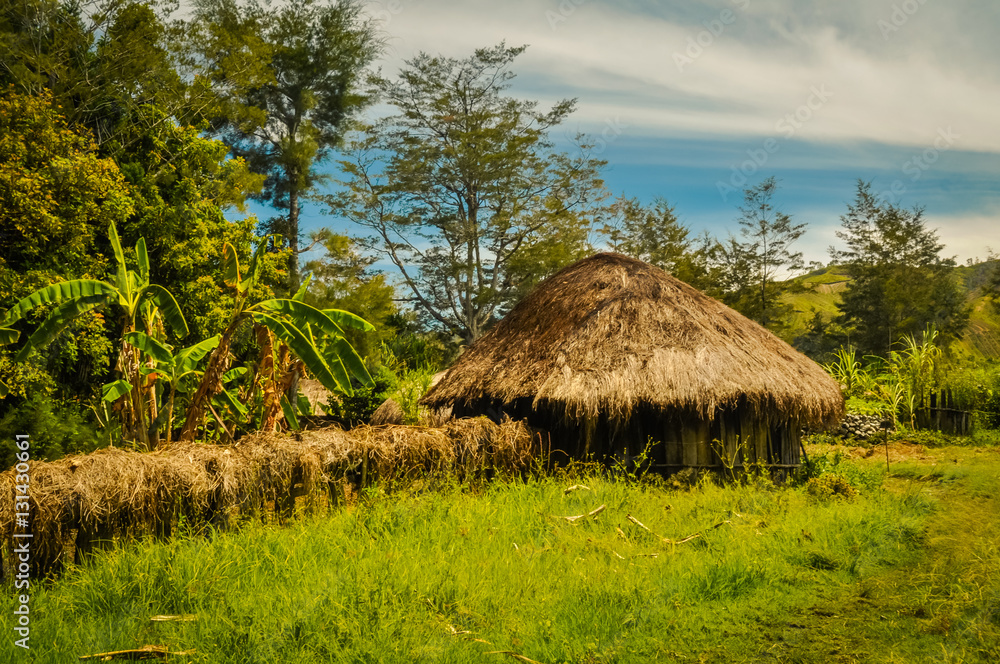 Small house in Trikora