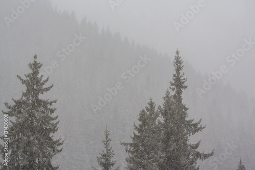 Heavy snow blizzard in the winter, in the mountains