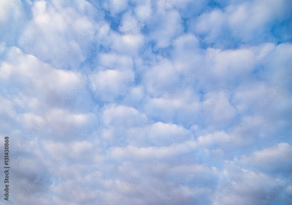 Fototapeta premium sky at dawn Sun