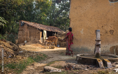 Photography Typical Indian village with mud houses, cattle and a deep tubewell in the foreground