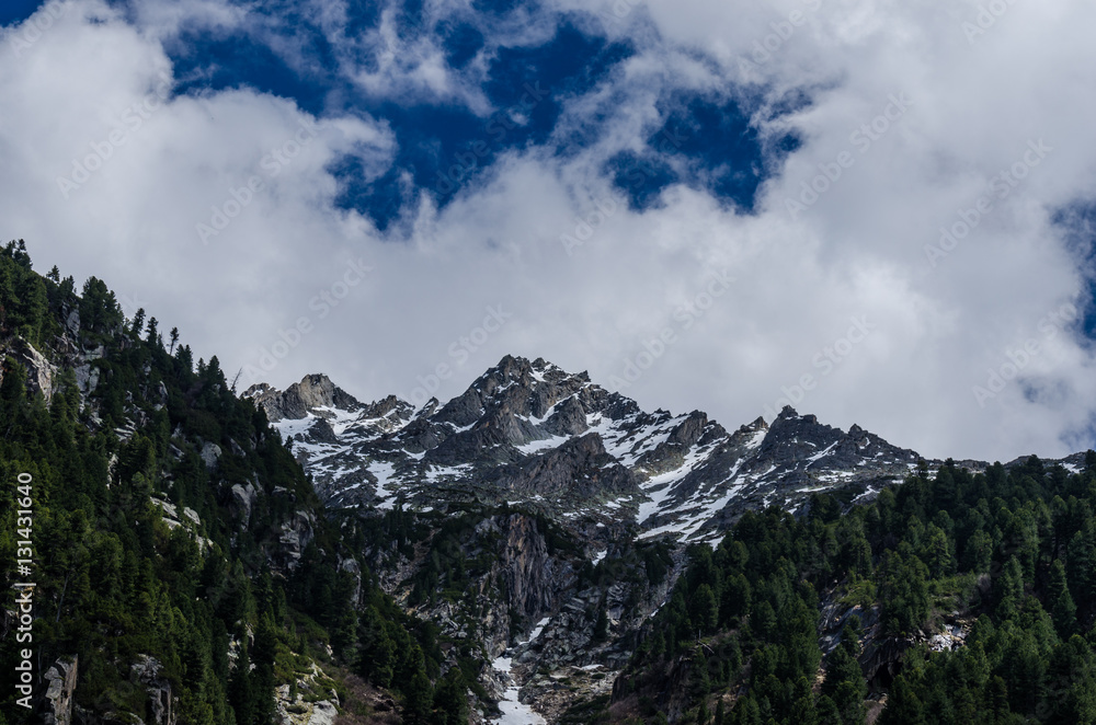 schoene berglandschaft im sommer