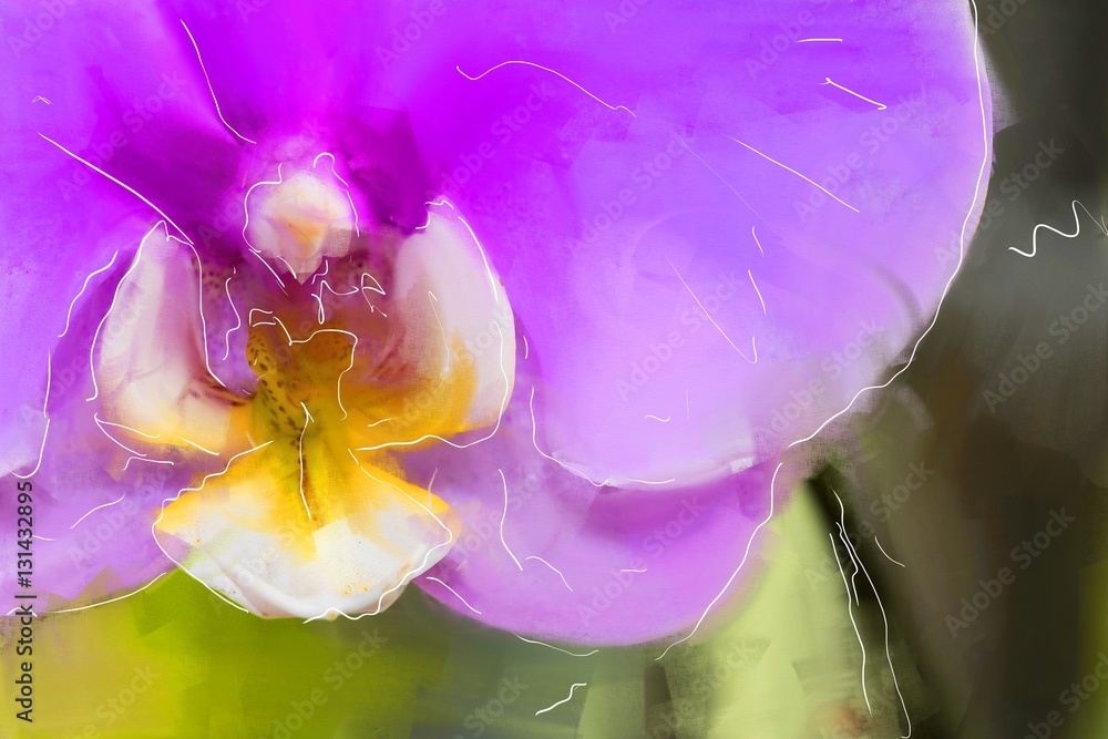 Obraz Farba olejna z ilustracji sztuki kwiat orchidei