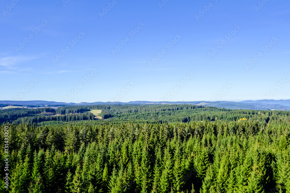 Tannenwald Schwarzwald von oben