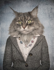 Fototapete Hipster Tiere Katze in Kleidung Vintage Stil  © cranach