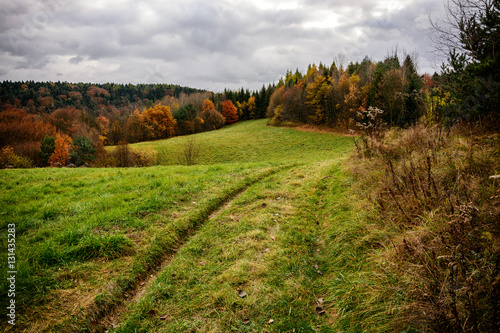 Wzgórza Ojców w Ojcowskim Parku Narodowym, jesienią. © OtiS