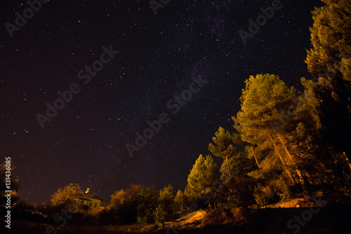 stars, forest and milkway