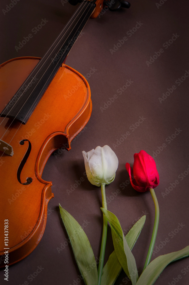 Fototapeta premium Tulips and violin