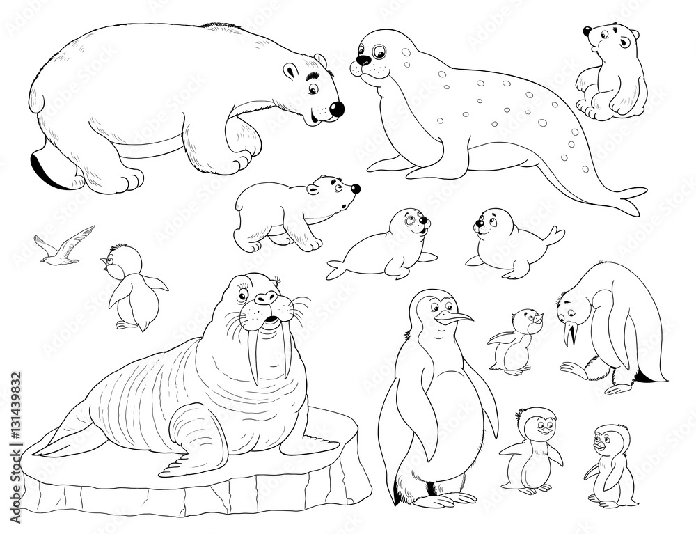 Set of cute arctic animals. Coloring page. Penguins, walrus, white bears,  seals Stock Illustration | Adobe Stock
