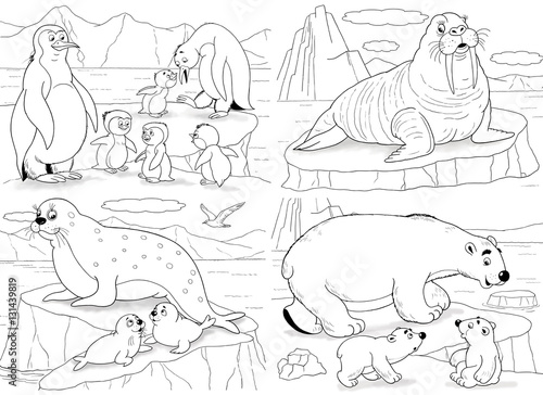Set of cute arctic animals. Coloring page. Penguins, walrus, white bears, seals
