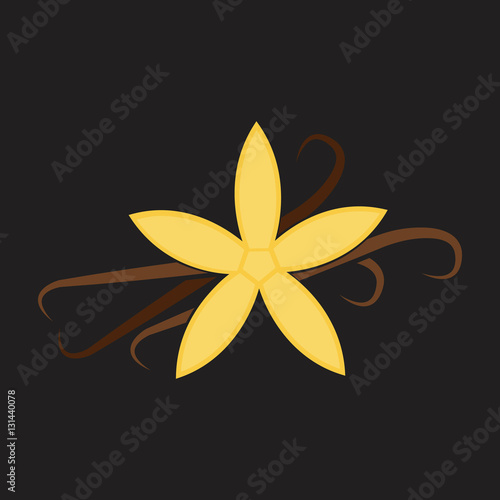 vanila flat icon