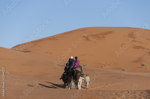 Caravana berebere en el desierto de Merzouga, Marruecos 