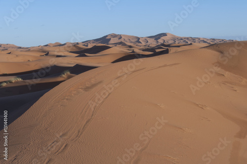 Desierto de arena de Merzouga, Marruecos 