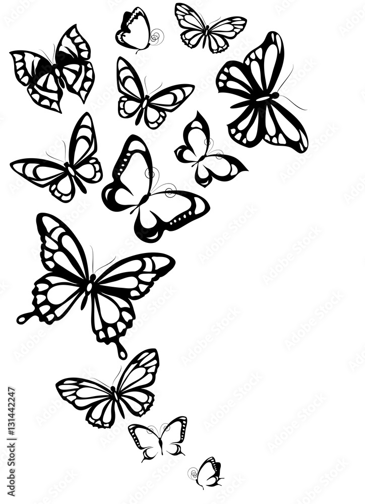 Fototapeta premium black butterflies,isolated on a white