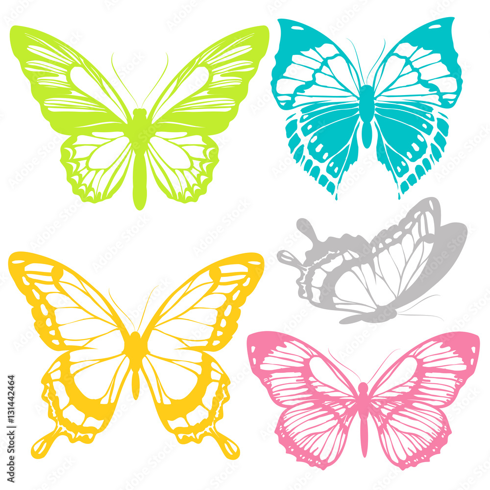 Fototapeta premium beautiful butterflies, isolated on a white