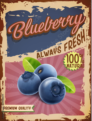 blueberry vintage banner