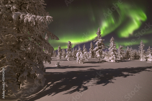 Northern Lights - Aurora borealis over snow-covered forest. Beautiful picture of massive multicoloured green vibrant Aurora Borealis, Aurora Polaris, also know as Northern Lights in the night sky.