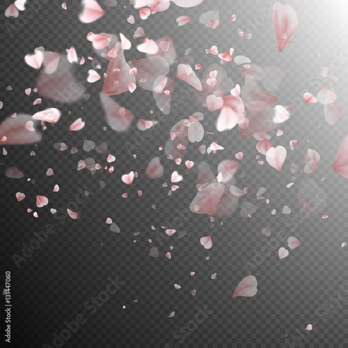 Pink sakura falling petals. EPS 10