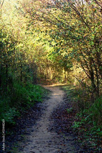 Landscape of a road in the countryside in autumn