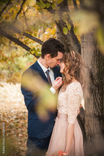 Bride and groom hugging in a forest in the autumn forest, weddin
