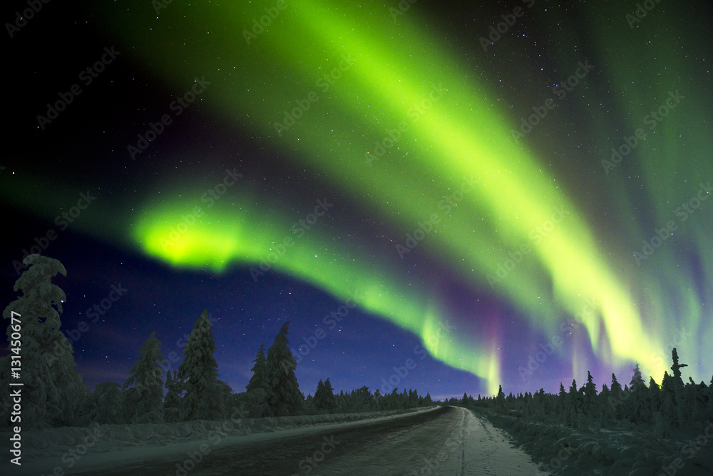 Northern Lights - Aurora borealis over snow-covered forest. Beautiful picture of massive multicoloured green vibrant Aurora Borealis, Aurora Polaris, also know as Northern Lights in the night sky. 