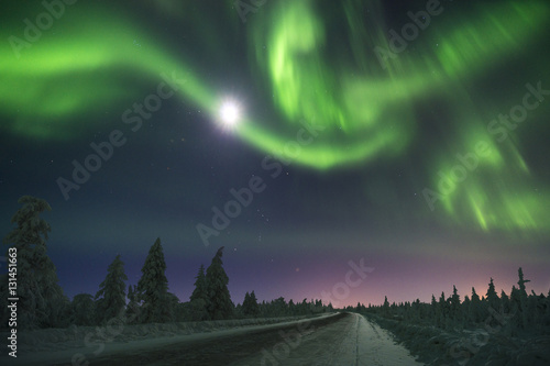 Northern Lights - Aurora borealis over snow-covered forest. Beautiful picture of massive multicoloured green vibrant Aurora Borealis  Aurora Polaris  also know as Northern Lights in the night sky. 
